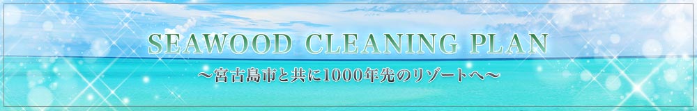 CleaningPlan