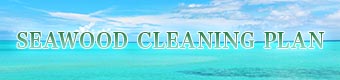 CleaningPlan