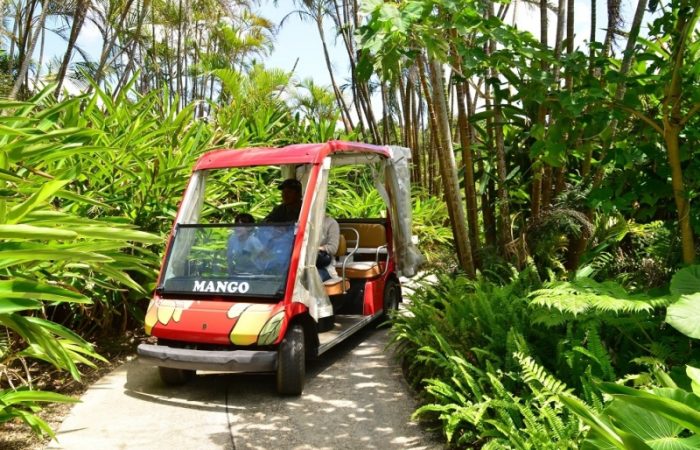 宮古島熱帯果樹園「まいぱり」