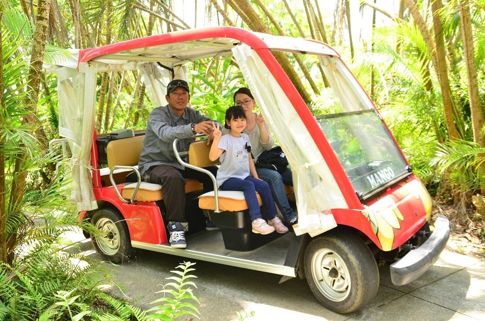 宮古島熱帯果樹園「まいぱり」