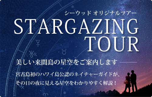 STARGAZING TOUR