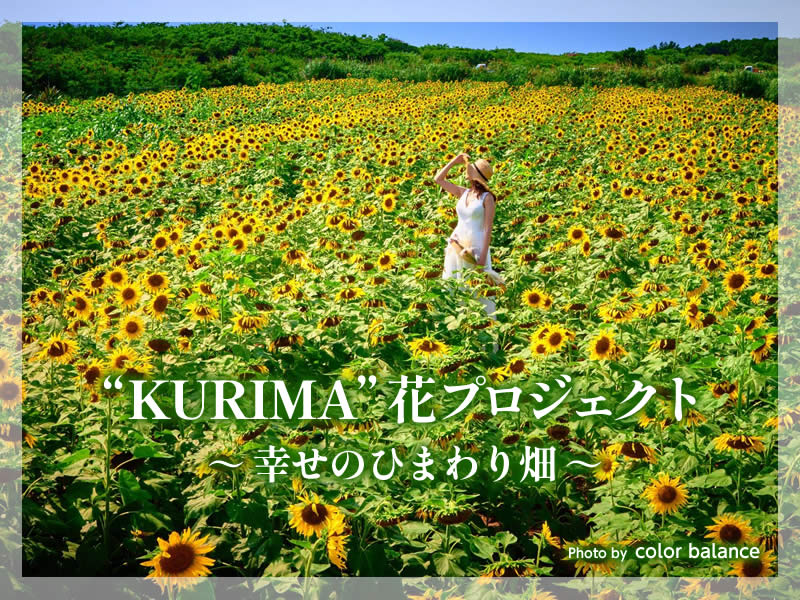 "KURIMA" 花プロジェクト ～幸せのひまわり畑～