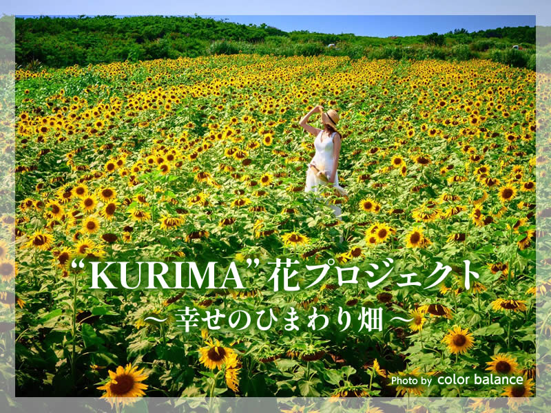 "KURIMA" 花プロジェクト ~幸せのひまわり畑~